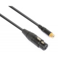 XLR3 socket-RCA socket cable 15cm adapter PD