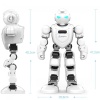Ubtech Alpha Ebot - A Programmable Education Robot
