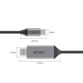 USB-C pistik - HDMI pistik kaabel 2m hall rästik