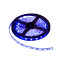 LED Лента Синяя 5m 8mm 300 LED 5050 12V IP63