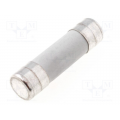 Fuse: fuse; gG; 10A; 500VAC; ceramic,cylindrical,industrial