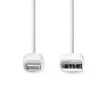 USB 2.0 - Apple Lightning kaabel 1m, valge MFI