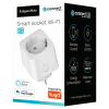 Smart socket 16A WiFi Kruger&Matz Connect P3 Tuya
