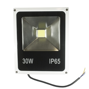 LED COB prozektor 30W külm valge 6000K 2100lm, valge, IP65