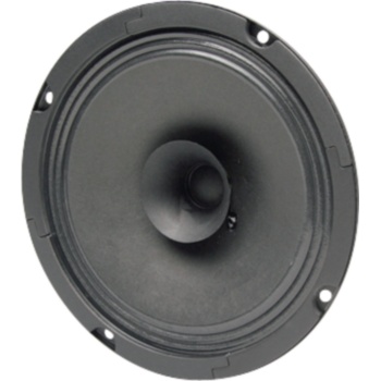 BG 17 - 8 Ohm -16 cm (6.5") full-range speaker