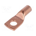 M6 ring terminal Copper 10mm2
