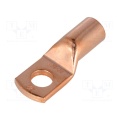 M10 ring terminal Copper 50mm2