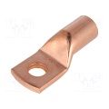 M10 ring terminal Copper 70mm2