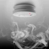 Estalert smoke detector with 9V battery power, with silence button