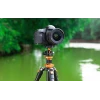 Tripod up to 171cm 10kg K254A3+BH-28L