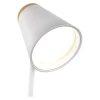 LED Desk Lamp TARA, white