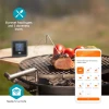 Liha termomeeter BBQ 0..300C 2-anduriga BT SmartLife Tuya