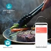 Liha termomeeter BBQ 0..300C 2-anduriga BT SmartLife Tuya
