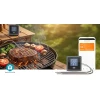 Liha termomeeter BBQ 0..300C 2-anduriga BT SmartLife Tuya