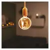 Deko LED lamp Q niit E27 G130OA 230VAC 4W 220lm 1800K