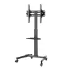 Mobile TV holder - stand with shelf