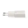 USB laadija GaN USB-A USB-C pesad 20W PD3.0 valge