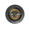 Pioneer TS-A301TW