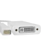 Qoltec Mini DVI adapter male DVI (24+5) female