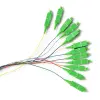 Qoltec 12 x Pigtail fiber optic SC/APC Singlemode G657A2 2m