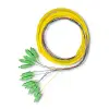 Qoltec 12 x Pigtail fiber optic SC/APC Singlemode G657A2 2m