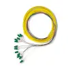 Qoltec 12 x Pigtail fiber optic LC/APC Singlemode G657A2 2m