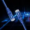 Qoltec Cable Patchcord UTP CAT6 2 x RJ-45 3m High speed Gold