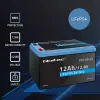 Qoltec LiFePO4 lithium iron phosphate battery 12.8V 12Ah 153.6Wh BMS