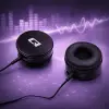 Qoltec Headphones with microphone Black