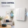 Qoltec Smart 2-Gang Light Switch Wi-Fi Timer Tuya Smart life White