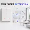 Qoltec Smart 2-Gang Light Switch Wi-Fi Timer Tuya Smart life White