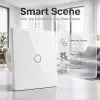 Qoltec Smart Touch 1-Gang Light Switch Wi-Fi Timer Tuya Smart Life Tempered Glass White