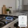 Qoltec Certified wireless Gas Leak (CH4) and Carbon monoxide (CO) detector alarm 85dB LED