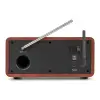 Dozza Internet Radio with DAB+ Wood