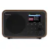 Vicenza WIFI internetiraadio DAB+ ja akuga, puidust