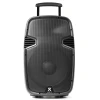 SPJ-PA915 Портативная звуковая система ABS 15" 2 УВЧ/USB/MP3