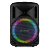 FT10LED MK2 Portable Sound System 10" 450W