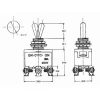MAXI TOGGLE SWITCH DPDT ON-ON 10A/250V
