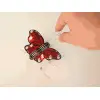 Butterfly (constructor)
