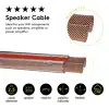 Speaker Cable transparent