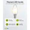 Filament LED Candle, 6 W
