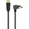 DisplayPort™ Cable 2.0/2.1 angled