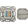 CAT 6A Wall Plate for Flush Mounting, Signal white RAL 9003