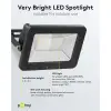 LED Outdoor Floodlight, 30 W