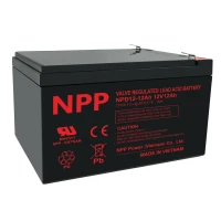 NPD12-12AH T2
