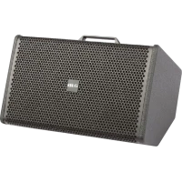 Мобильный динамик / инструментальный усилитель BLG, 6.5", 100Wrms, эффекты, D-класс, DSP, Li-ion аккумулятор, штатив в комплекте