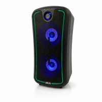 Mobiilne kõlar BLG 2x6.5" BLG 240Wrms, akuga, USB/BT Class D