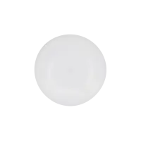 Shelly Flood S Gen4 water leak sensor, WiFi/Matter/Zigbee, IP67