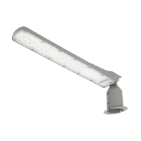 LED tänava valgusti Flamingo 100W 4000K 10000lm hall IK08