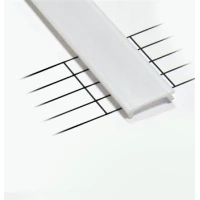 Profiili kate piimjas 1m NTA, NTD, NZA, PTB, A, C, Z profiilidele